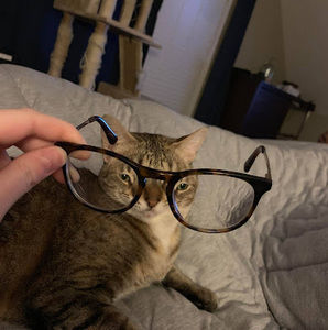 Meet your Posher, Sumaiya misli